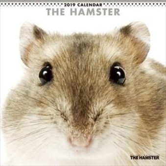 CL-1148　THE HAMSTER　2019年カレンダー  [CL]
